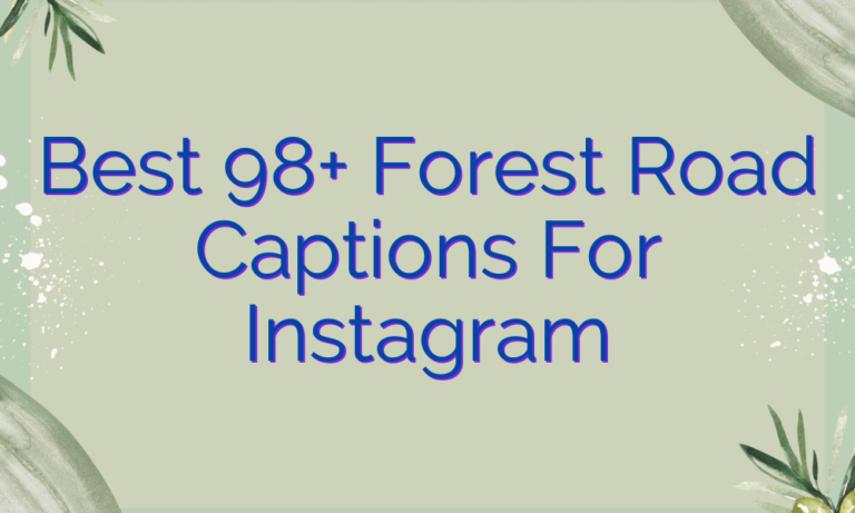 Best 98+ Forest Road Captions For Instagram