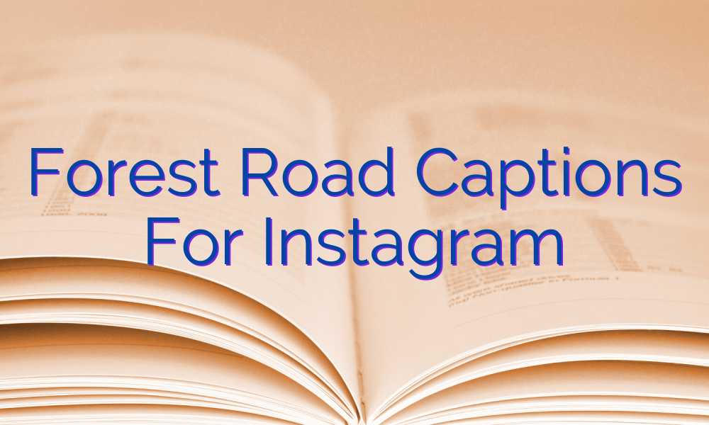 Forest Road Captions For Instagram